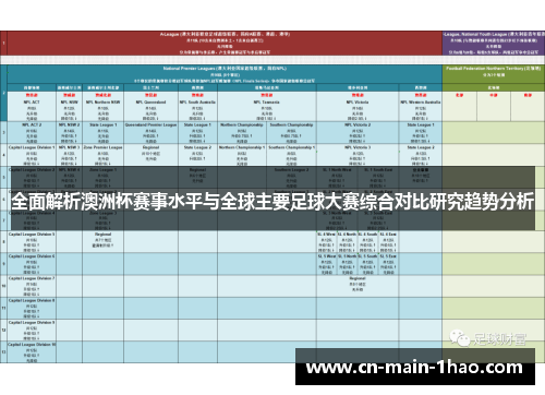 全面解析澳洲杯赛事水平与全球主要足球大赛综合对比研究趋势分析