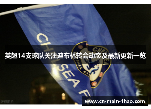 英超14支球队关注迪布林转会动态及最新更新一览