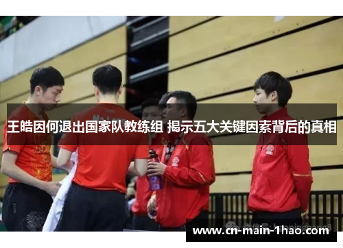 王皓因何退出国家队教练组 揭示五大关键因素背后的真相 王皓因何退出国家队教练组 揭示五大关键因素背后的真相