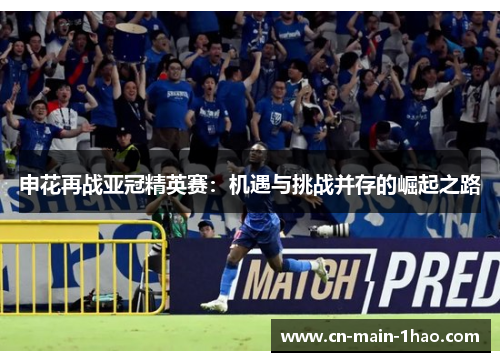 申花再战亚冠精英赛：机遇与挑战并存的崛起之路